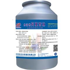 水溶性阿莫西林